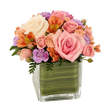 Sorbet Blossoms Cube